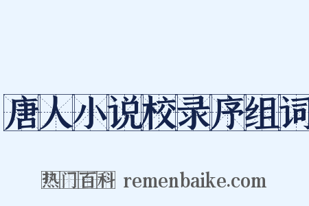 唐人小说校录序组词是什么意思的图片